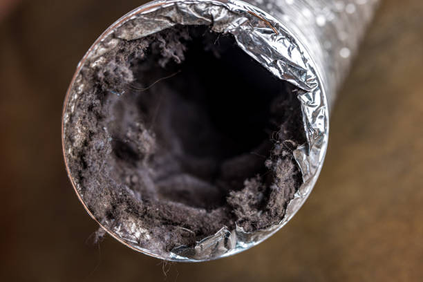 Best Dryer Vent Cleaning Services  in Mcswain, CA
