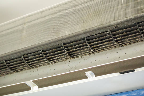 Best Air Duct Sanitizing Services  in Mcswain, CA